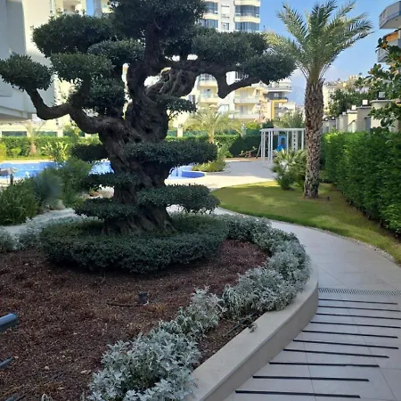 Aria Comfort Lägenhet Alanya